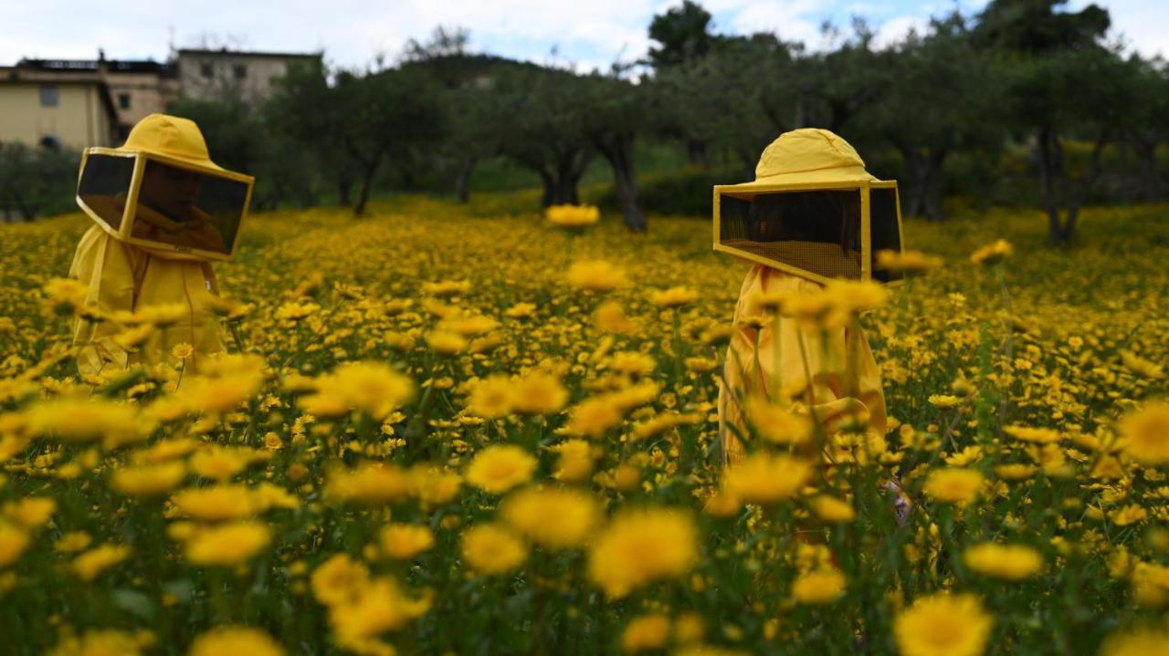 Fattoria Di Maiano Guest House ฟีเอโซเล ภายนอก รูปภาพ