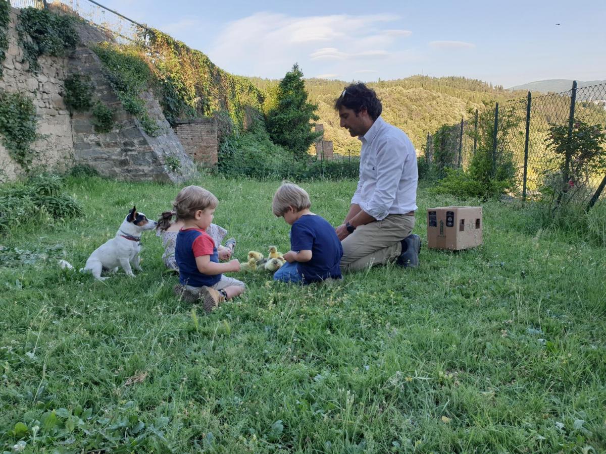 Fattoria Di Maiano Guest House ฟีเอโซเล ภายนอก รูปภาพ