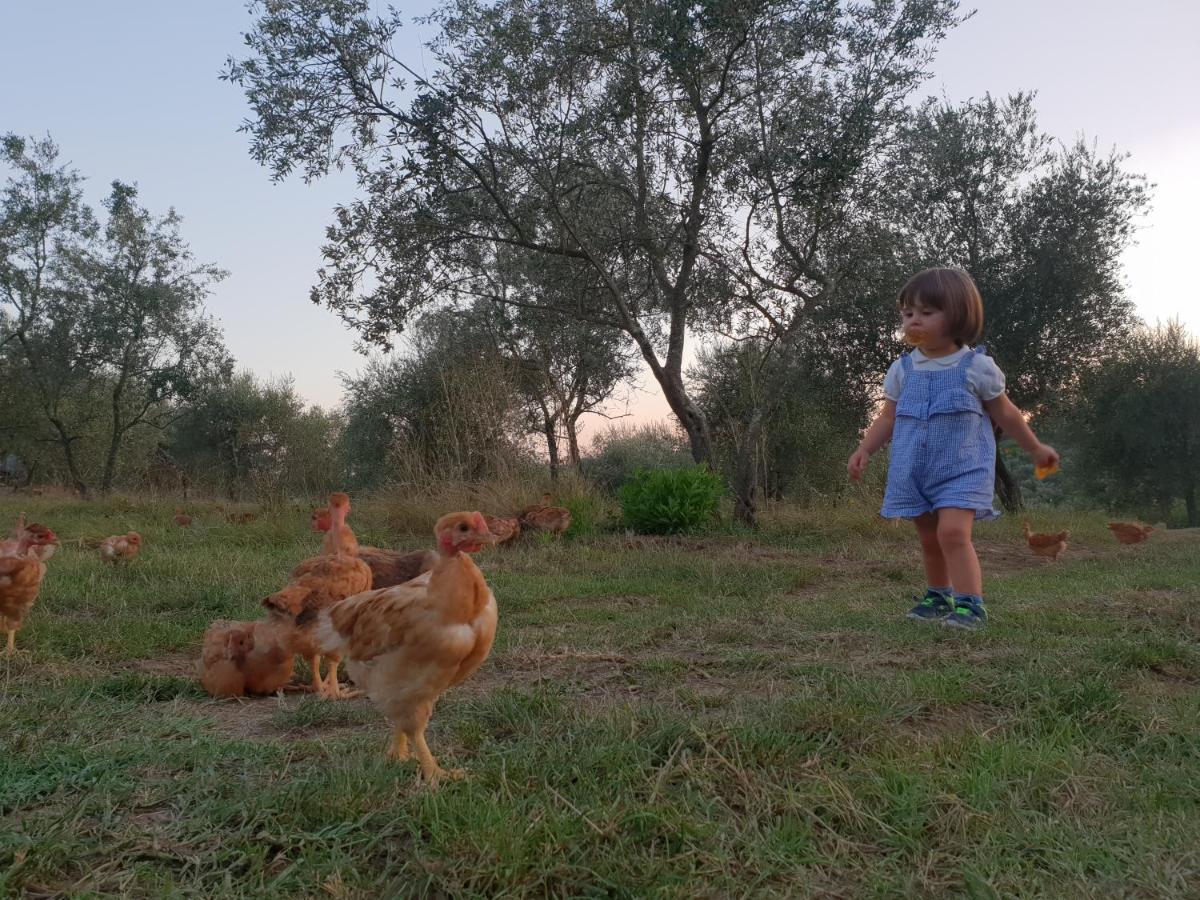 Fattoria Di Maiano Guest House ฟีเอโซเล ภายนอก รูปภาพ